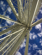 6th Nov 2023 - Navy Pier Ferris Wheel (3)