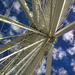 Navy Pier Ferris Wheel (3) by robfalbo