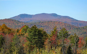 4th Nov 2023 - New Hampshire