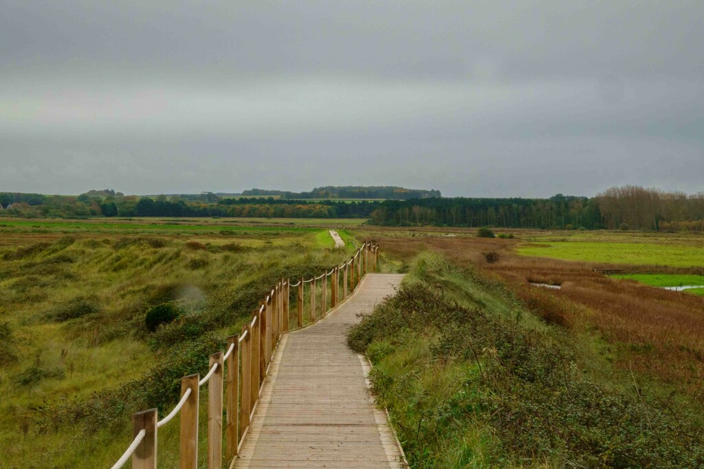 Wooden Walkway  by padlock