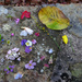 November flower grid by anniesue