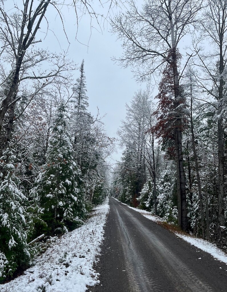 First Snow Of The Year Today, the 30th. by sunnygreenwood