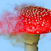 Mushroom Magic by cdcook48