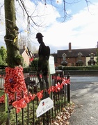5th Nov 2023 - Remembrance Day approaches