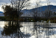 4th Nov 2023 - Pond Reflections