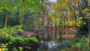 5th Nov 2023 - Autumn at Hartsholme Park