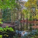 Autumn at Hartsholme Park by carole_sandford