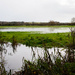 Mill Road Water meadows, Arundel by josiegilbert