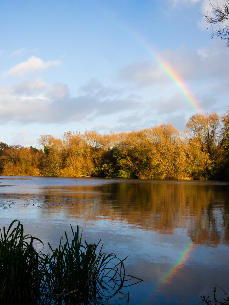 Rainbow over Patching Pond by josiegilbert