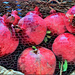 Pomegranates   by joysfocus