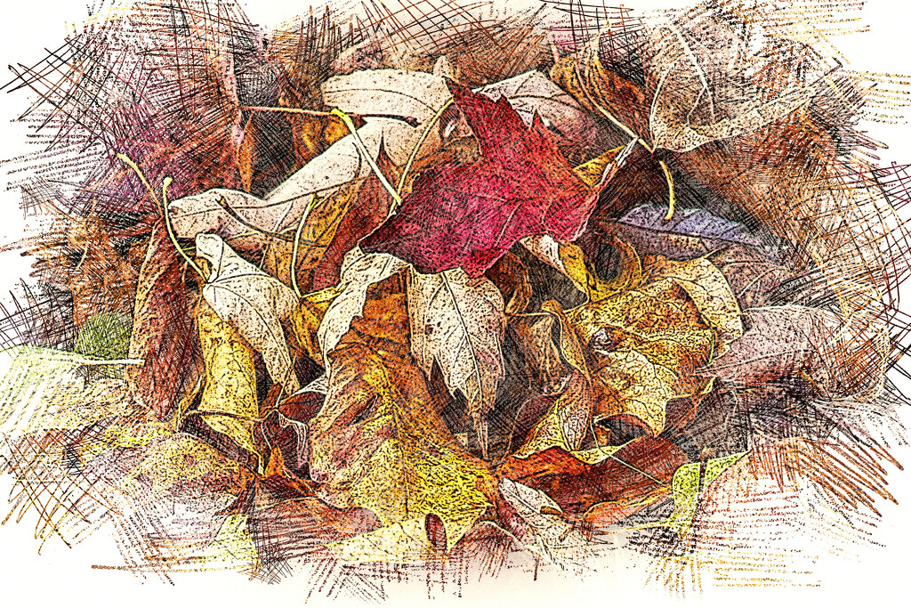 Fallen Fall - Sketch Version  by gardencat