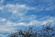 5th Nov 2023 - Fall clouds