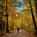 Autumn Walk by pdulis