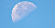 5th Nov 2023 - Daytime Moon Shot!
