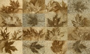 4th Nov 2023 - Leaf Imprint Collage