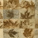 Leaf Imprint Collage by kareenking