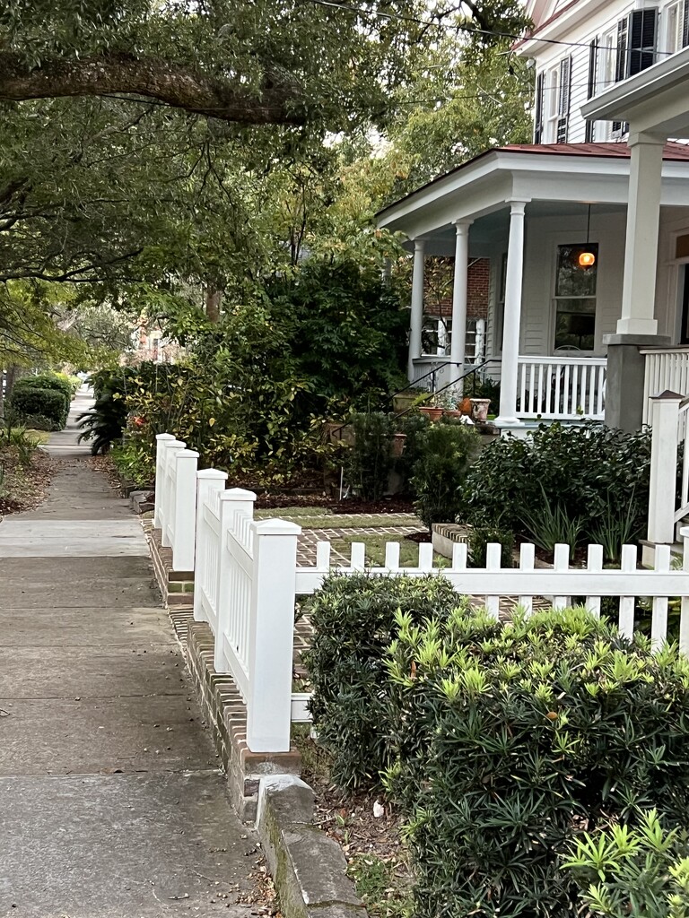 Historic house with picket fence and sidewalk by congaree