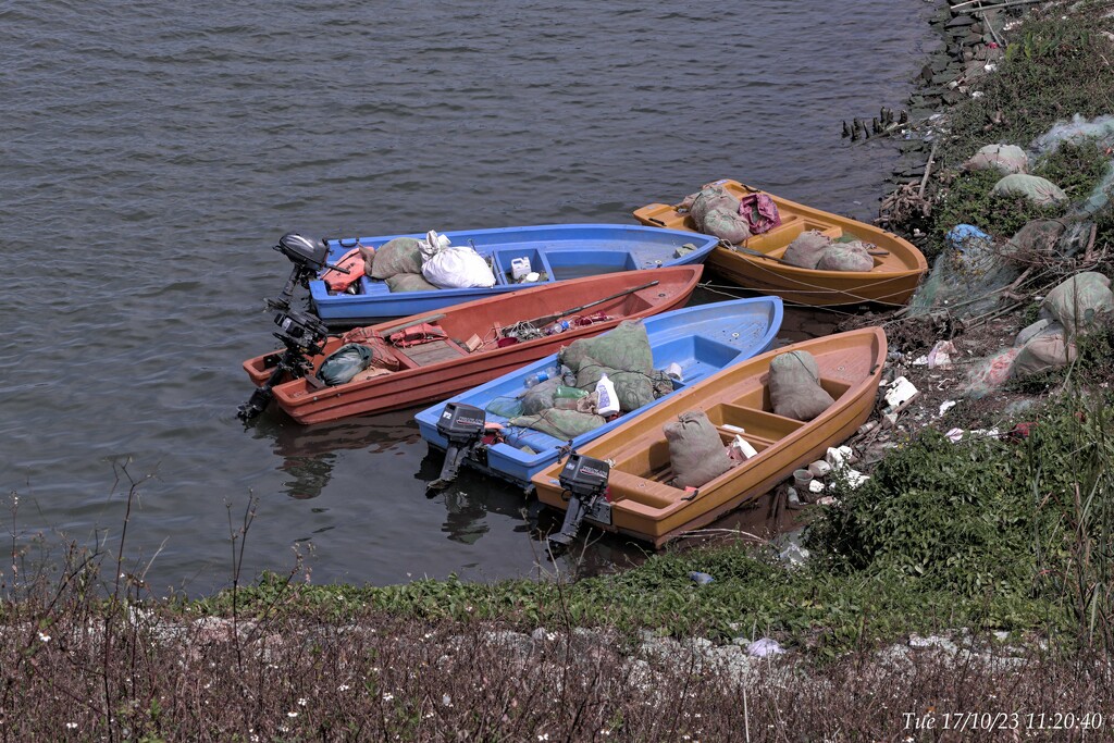Five boats with three colors by wh2021