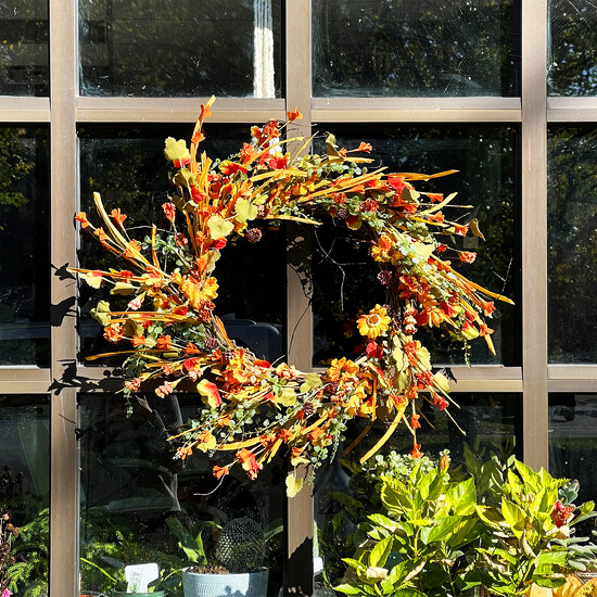 Rose's Flower Shop by Sandy Z W · 365 Project