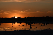 6th Nov 2023 - Saltpan Sunset #2