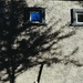 11 5 Tree shadow by sandlily