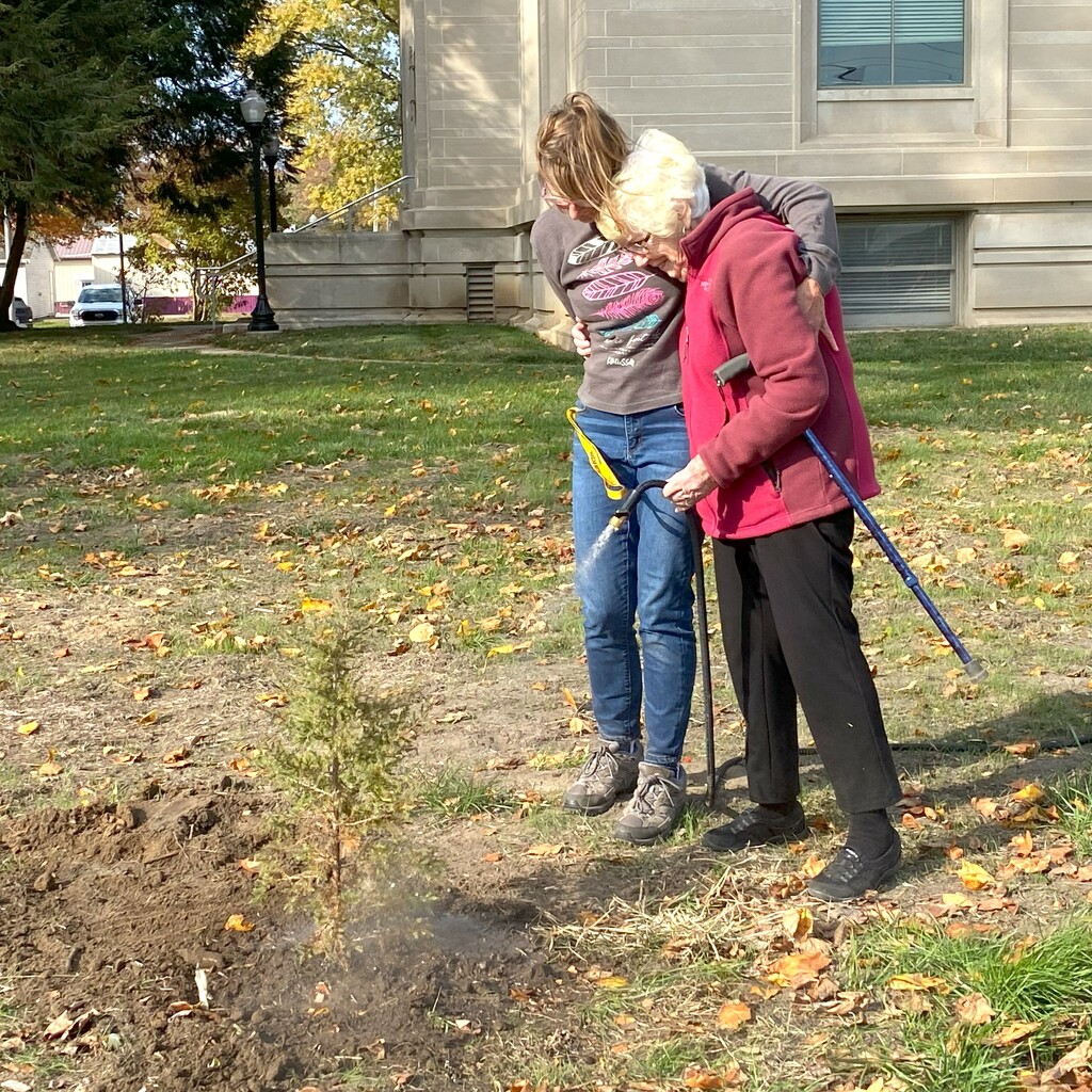 A tree planted in memory of Maggie's husband by tunia