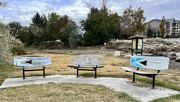 16th Oct 2023 - Fun benches at the island