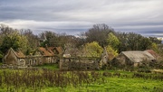 7th Nov 2023 - Sad to see the old steading fall into disrepair.