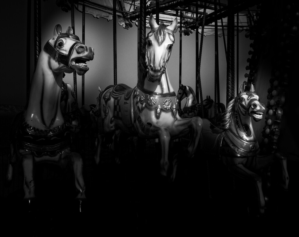 At the Merry-Go-Round by billyboy