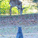 Watching the deer... by thewatersphotos