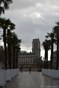 4th Nov 2023 - Notre Dame & the palm trees
