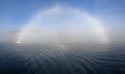 28th Oct 2023 - Fogbow