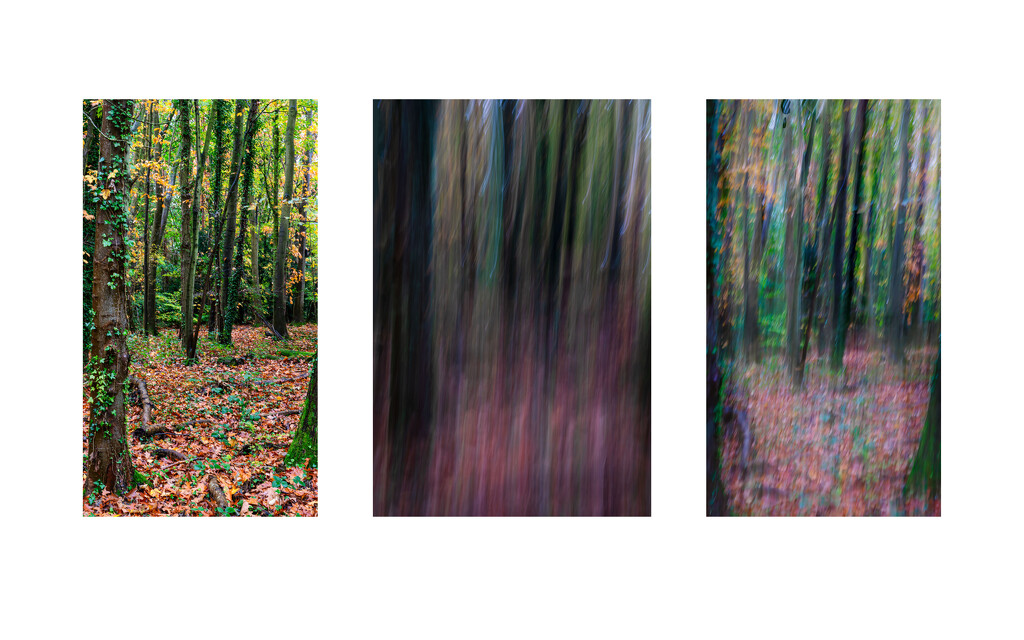 Woodland ICM and Blending by clifford