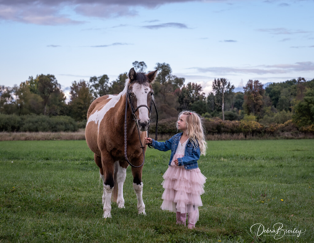 Little girls and their ponies  by dridsdale