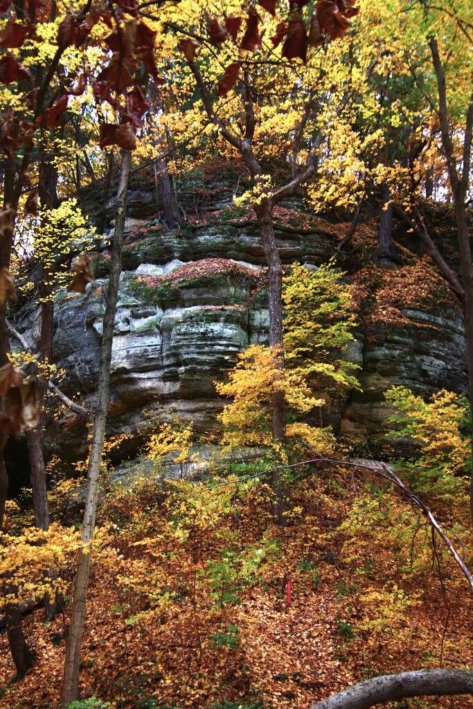 Fall Colors Around A Sandstone Cliff by randy23
