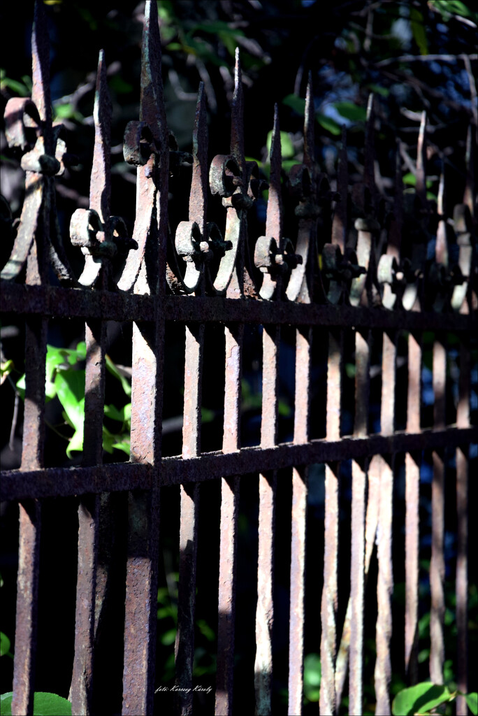 Old rusty fence...... by kork