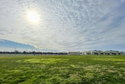 8th Nov 2023 - Outside Landscape at the Elementary School