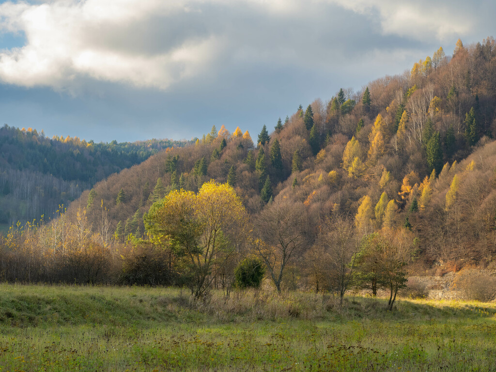 Autumn in the mountains by haskar