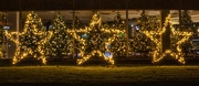 8th Nov 2023 - Christmas lights
