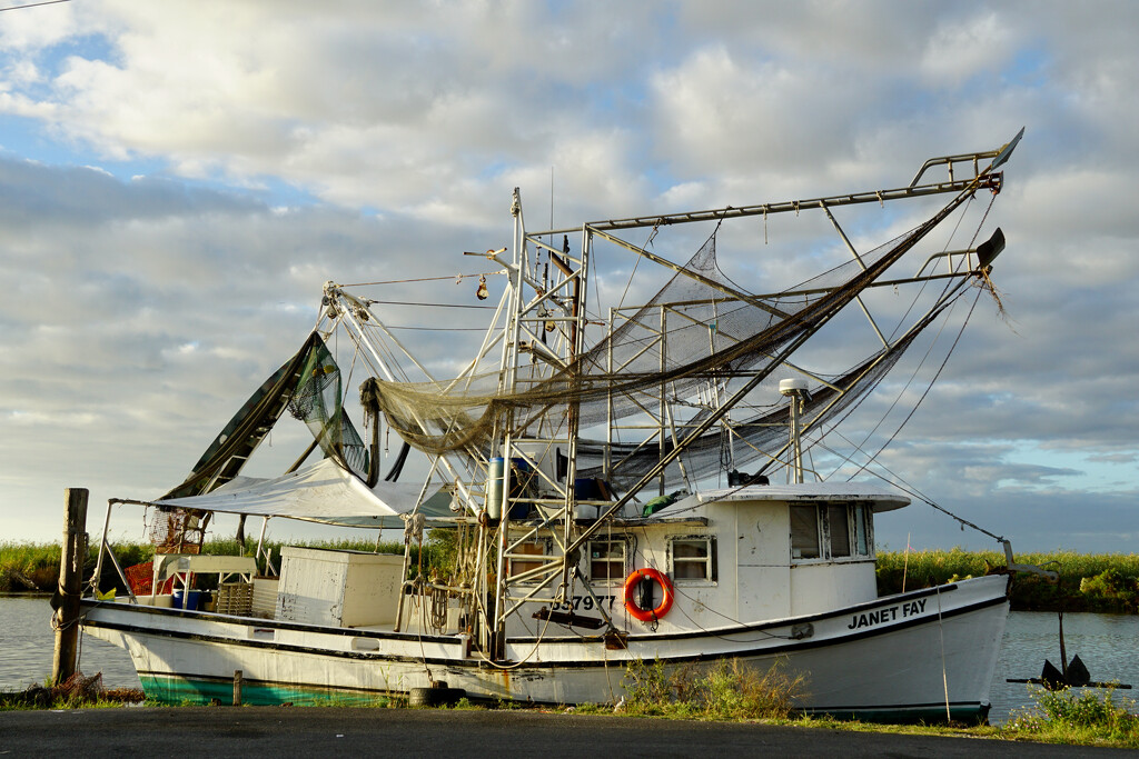 Shrimp boat by eudora