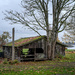 Shed, Elgin Heritage Park by cdcook48