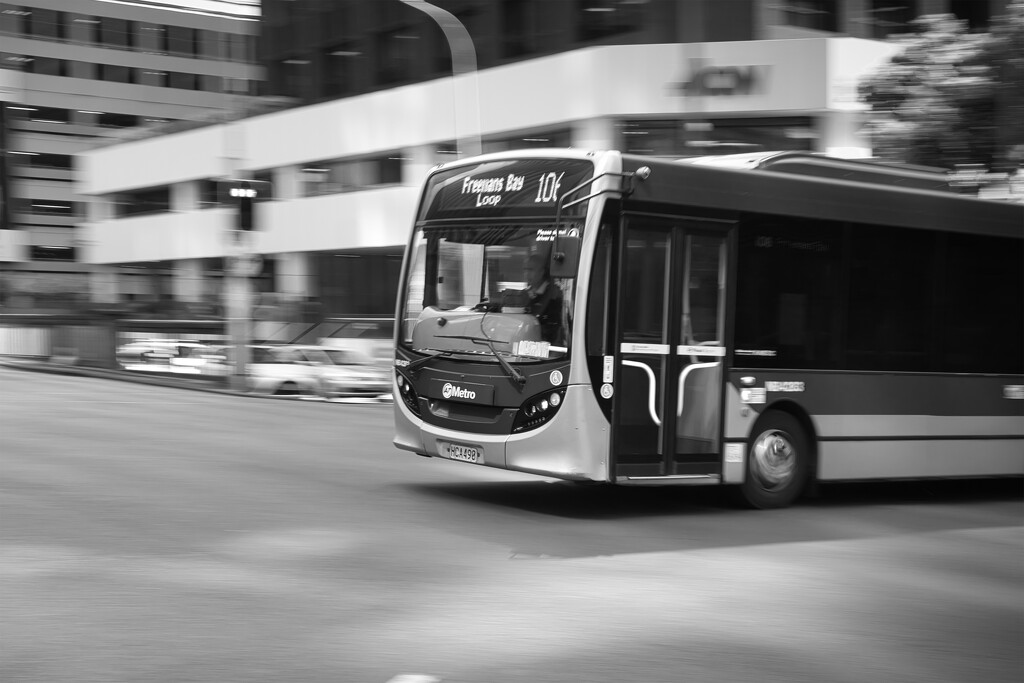 Auckland bus by dkbarnett