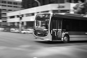 2nd Nov 2023 - Auckland bus