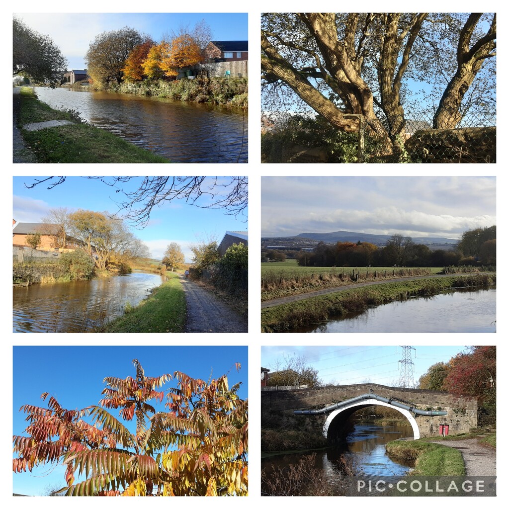 Leeds Liverpool canal from Rishton near Blackburn,  Lancashire.  by grace55