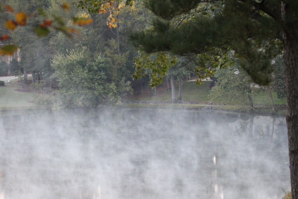 Oct 9 Fog On Big Pond by georgegailmcdowellcom