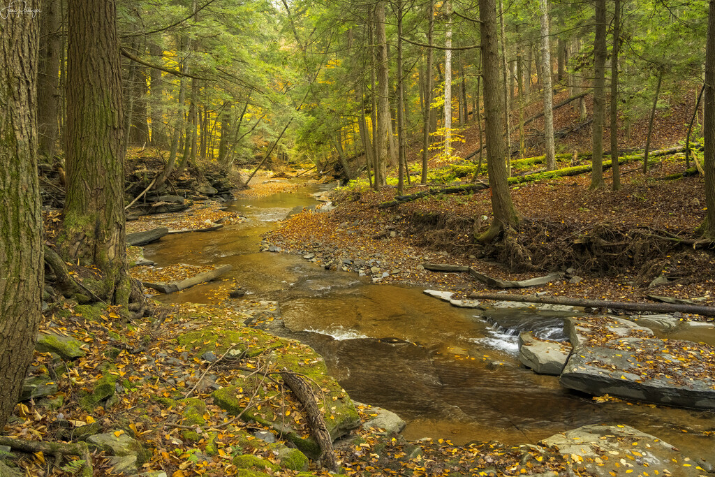 Slippery Flat Rocks by jgpittenger