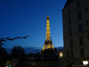 9th Nov 2023 - Eiffel Tower 2