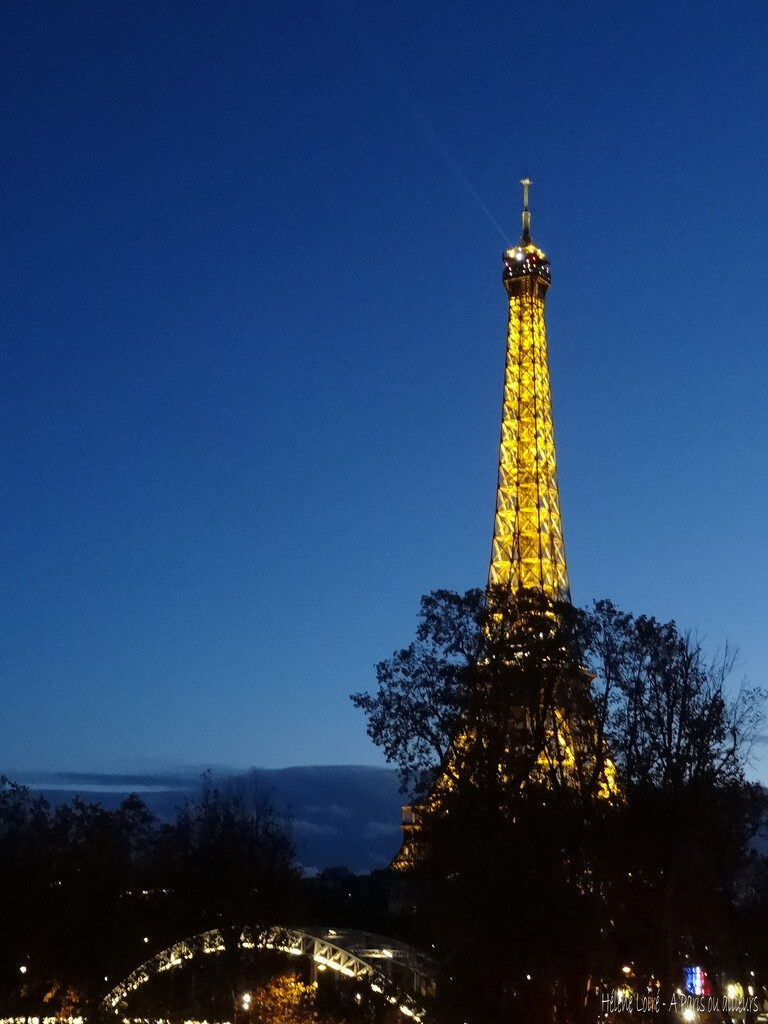 Eiffel Tower 1 by parisouailleurs