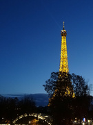 9th Nov 2023 - Eiffel Tower 1