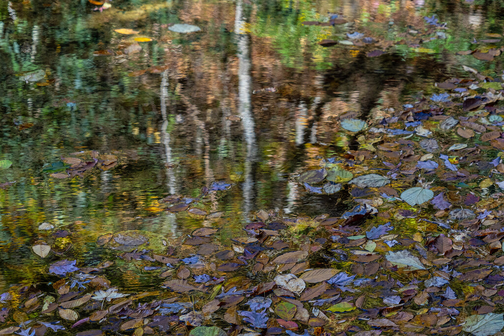 v2 Wildcat Falls Reflection Pool by k9photo